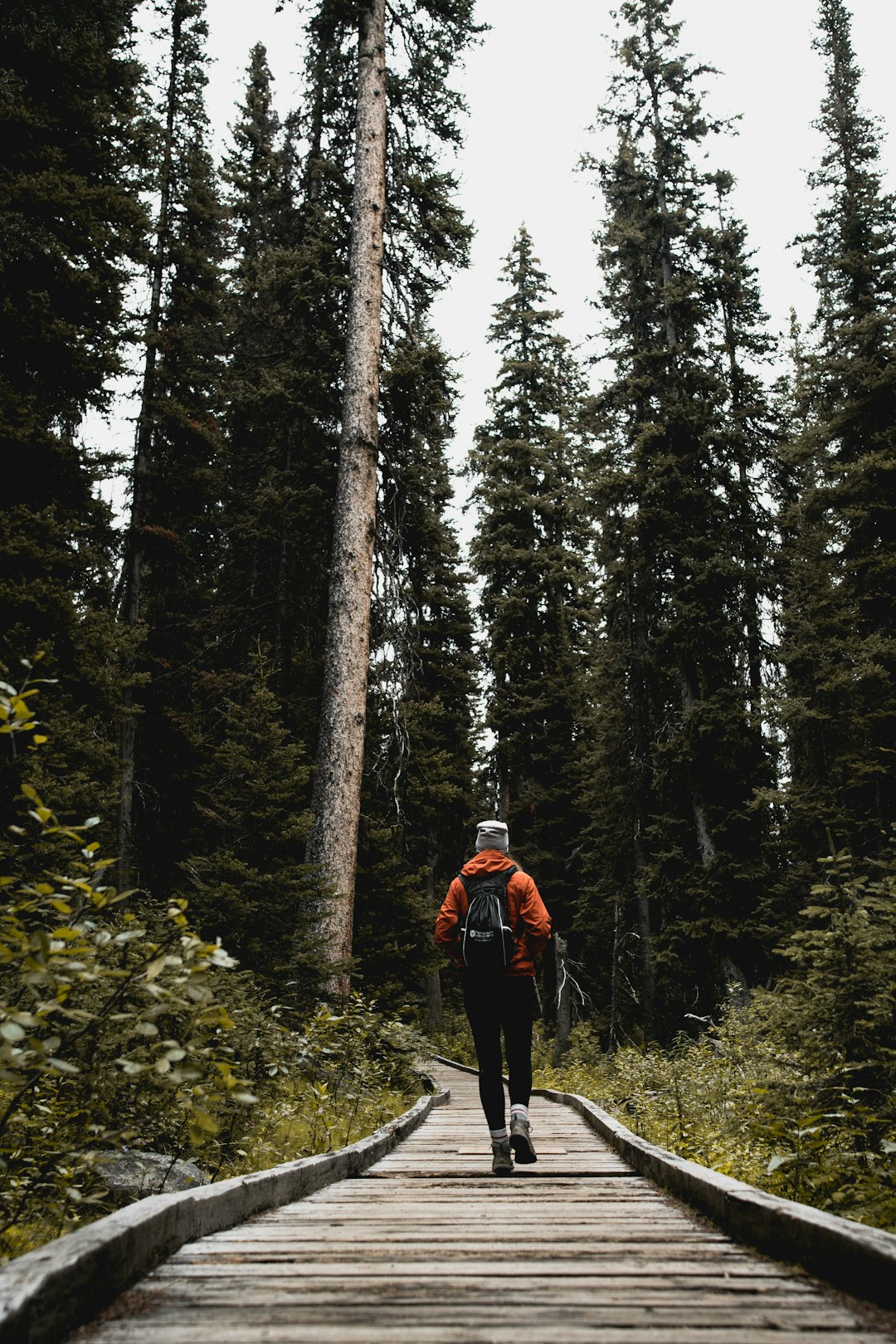 Forest photo spot Banff Moraine Lake