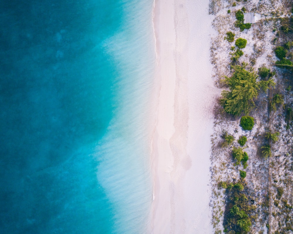 aerial photo of beach