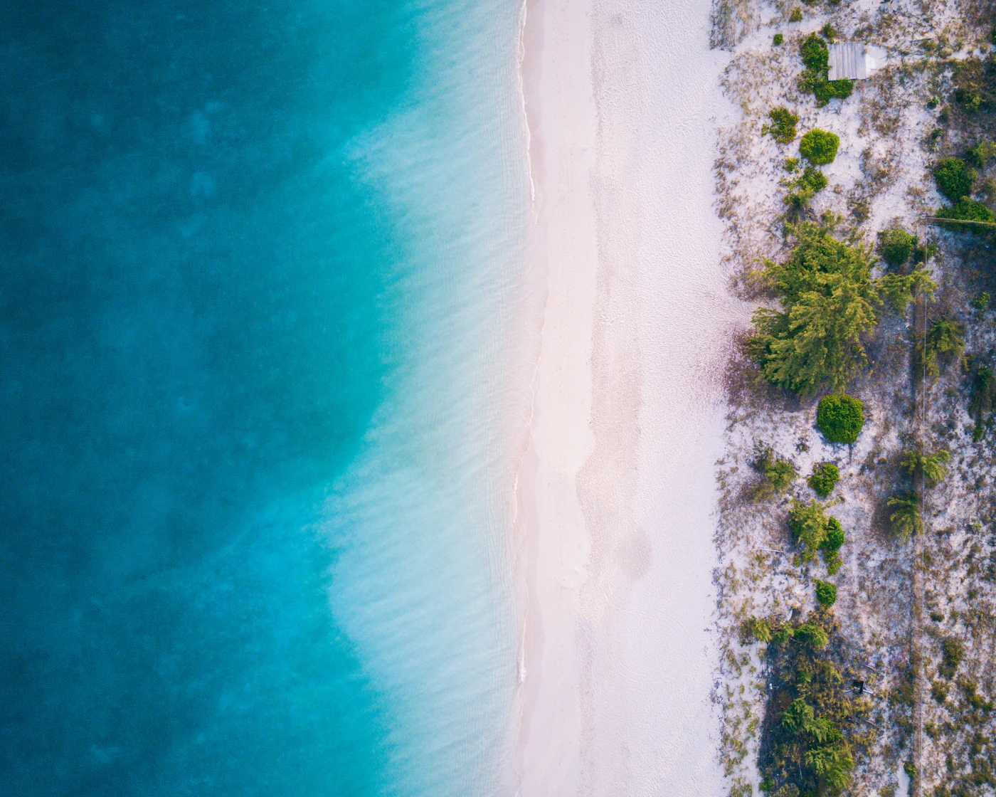 Aerial view of a white-sand beach and turquoise water in Turks and Caicos