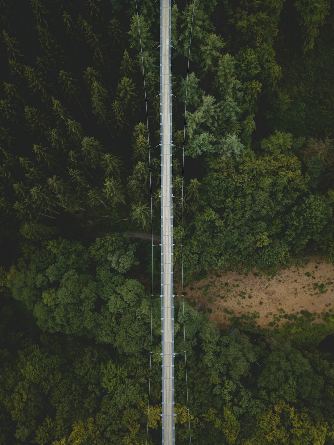 photo of Mörsdorf Forest near Eltz Castle