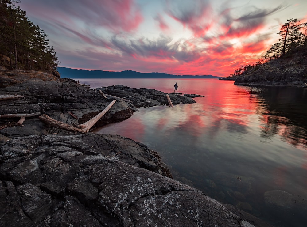 photo of man on rock near body of water