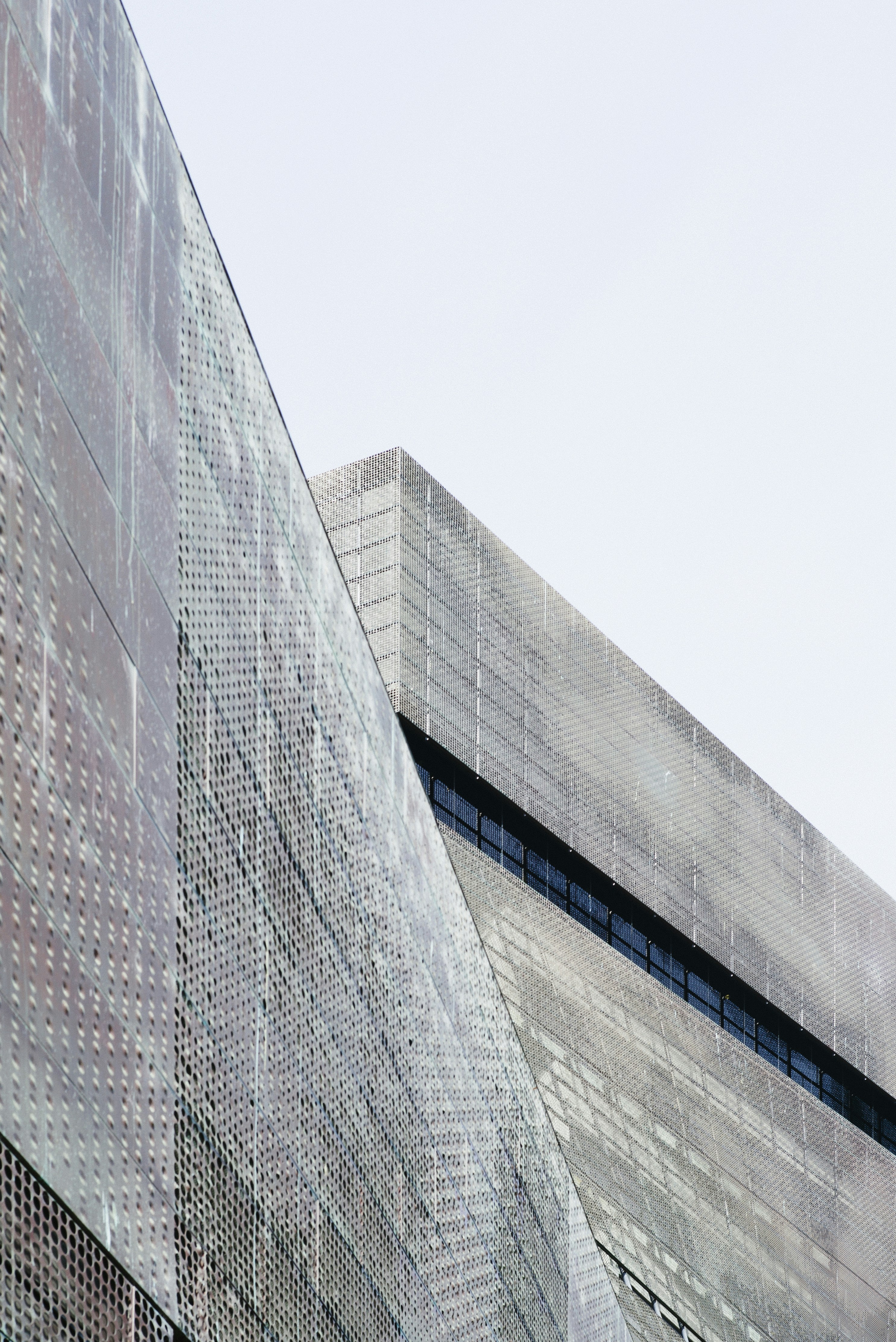 de Young Museum photo 3