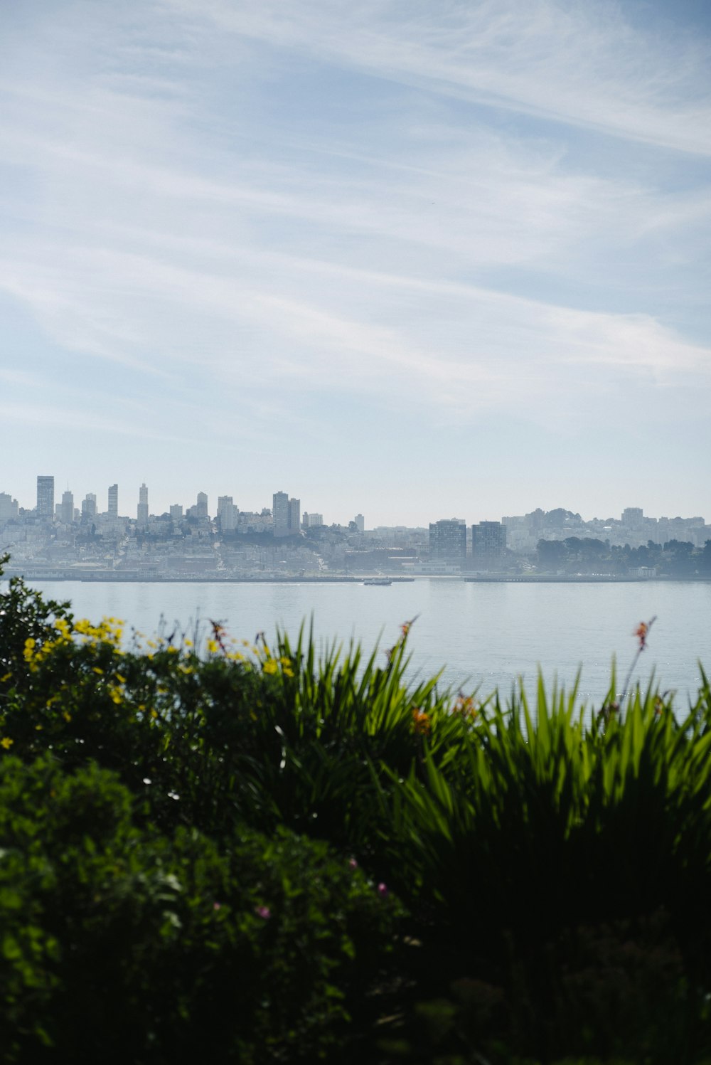 city escape near water during daytime