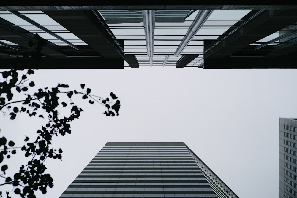 low-angle photography of high-rise building