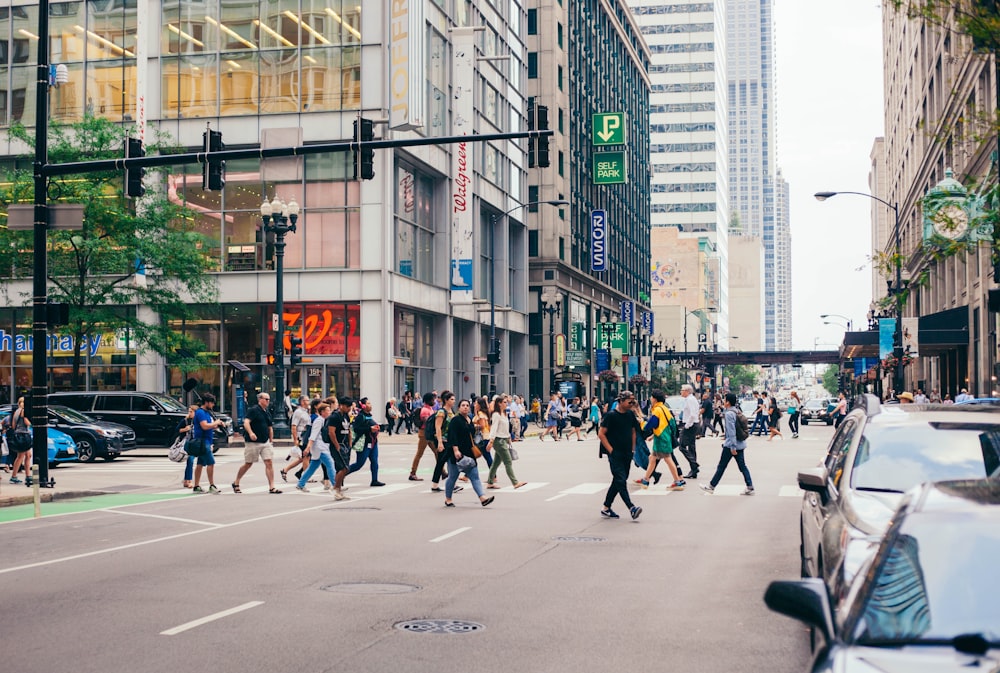 people walking on road