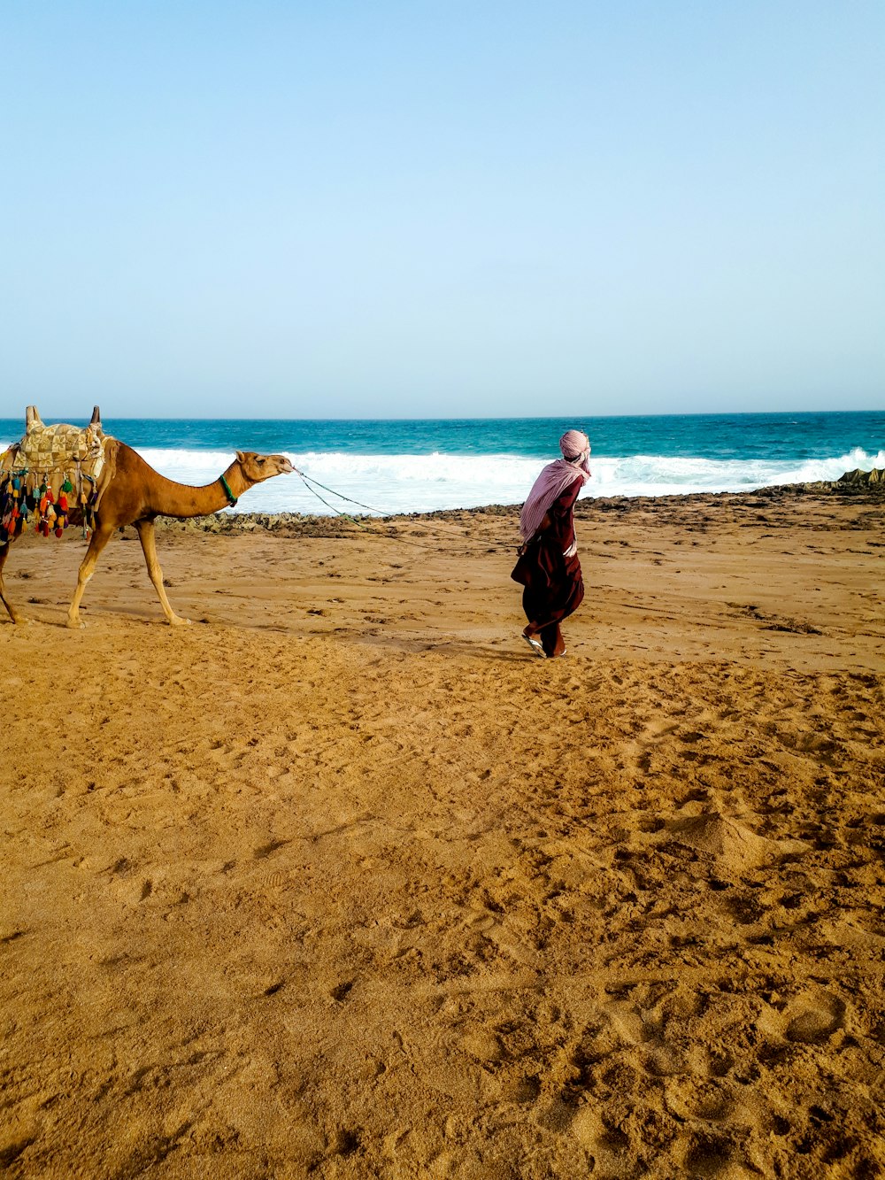 man walk beside camel near seashore