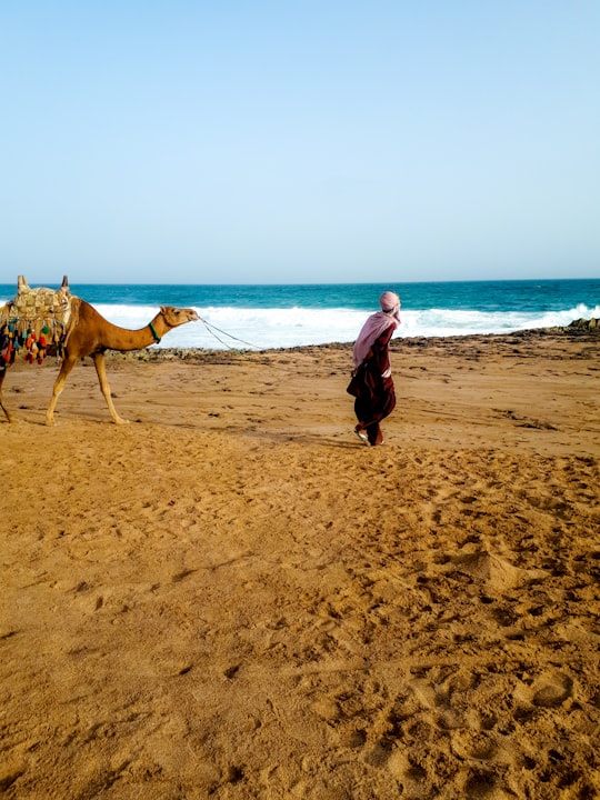man walk beside camel near seashore in Chabahar Iran