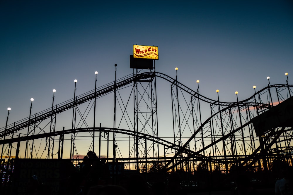 silhouette photo of Wild Cat roller coaster