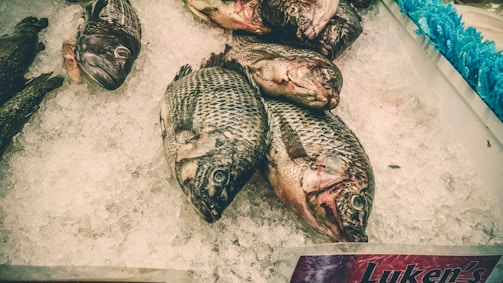Several fish are displayed on a bed of crushed ice. The fish are whole, with visible scales and eyes. They are placed side by side in a market setting, possibly for sale.