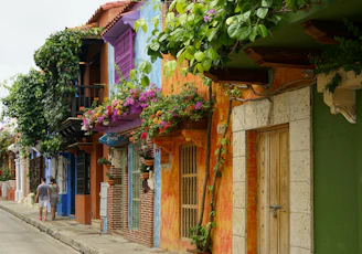multicolored houses