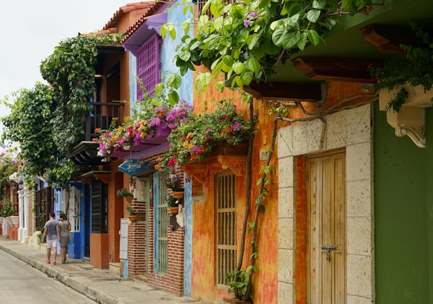 multicolored houses