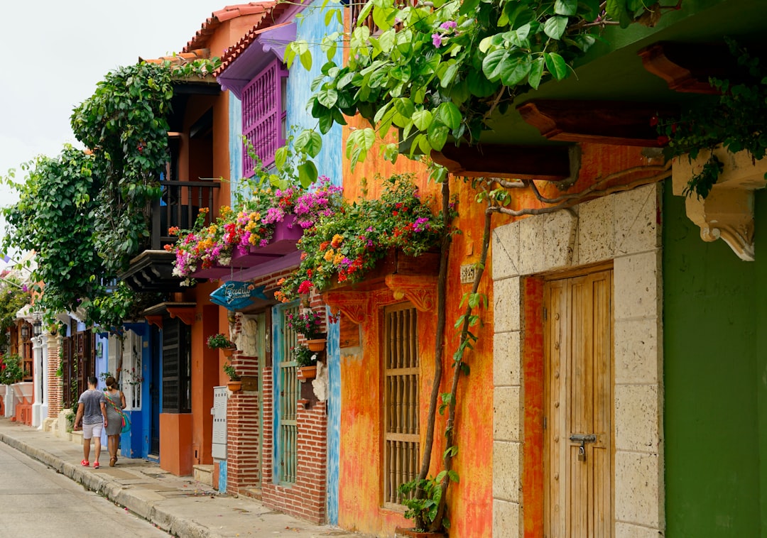 multicolored houses