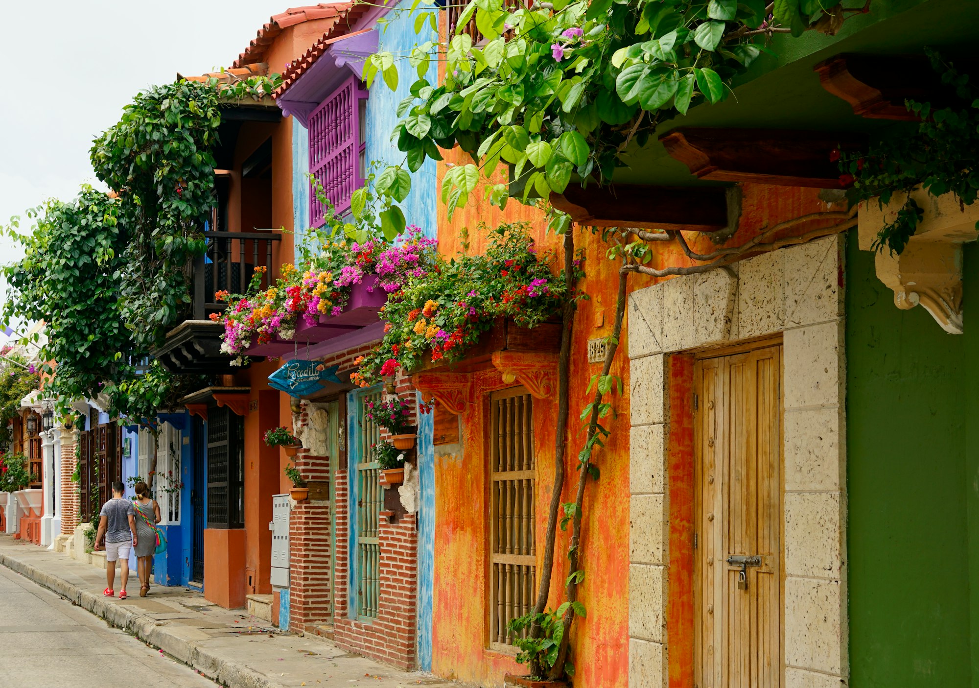 Cartagena de Indias colors 444