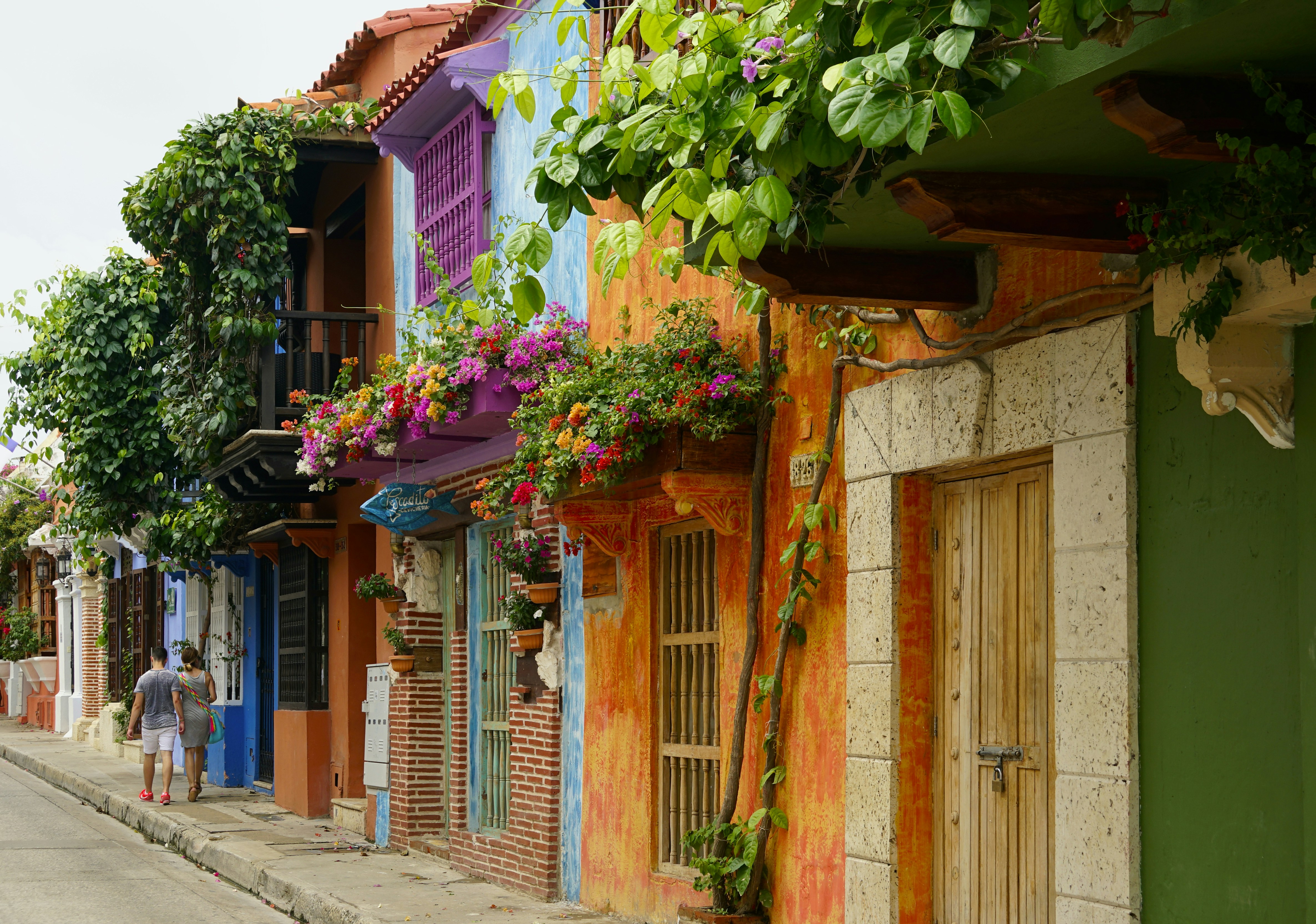Cartagena de Indias colors 444