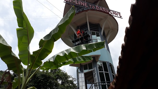 A tall observation tower with large letters spelling 'ZIP-LINE TO DARK CAVE' at the top. There are two people in red helmets and harnesses on a balcony, likely preparing for a zip-line activity. Large green banana leaves are in the foreground, partially obscuring the view. The sky is cloudy and the scene has a tropical feel from the surrounding vegetation.