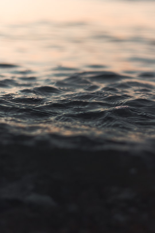 selective focus photography of water in Rågeleje Denmark