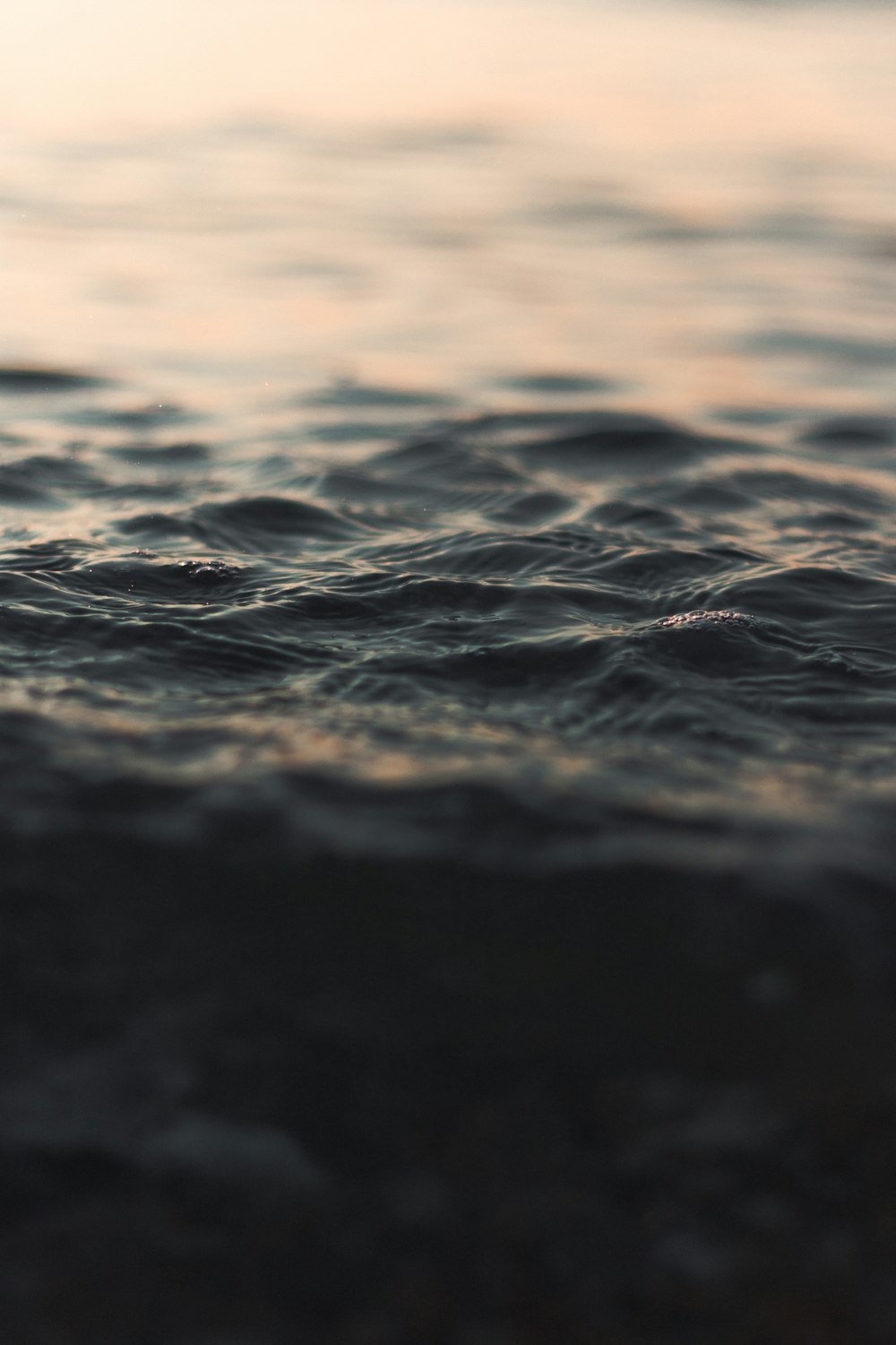 selective focus photography of water