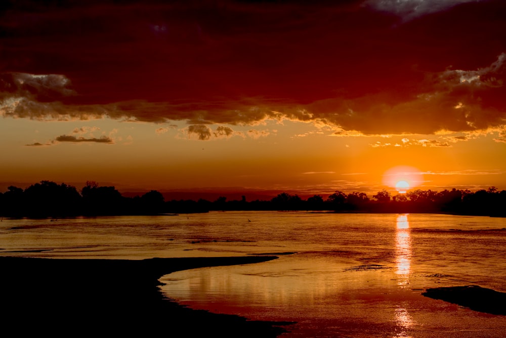 silhouette of trees near body of water