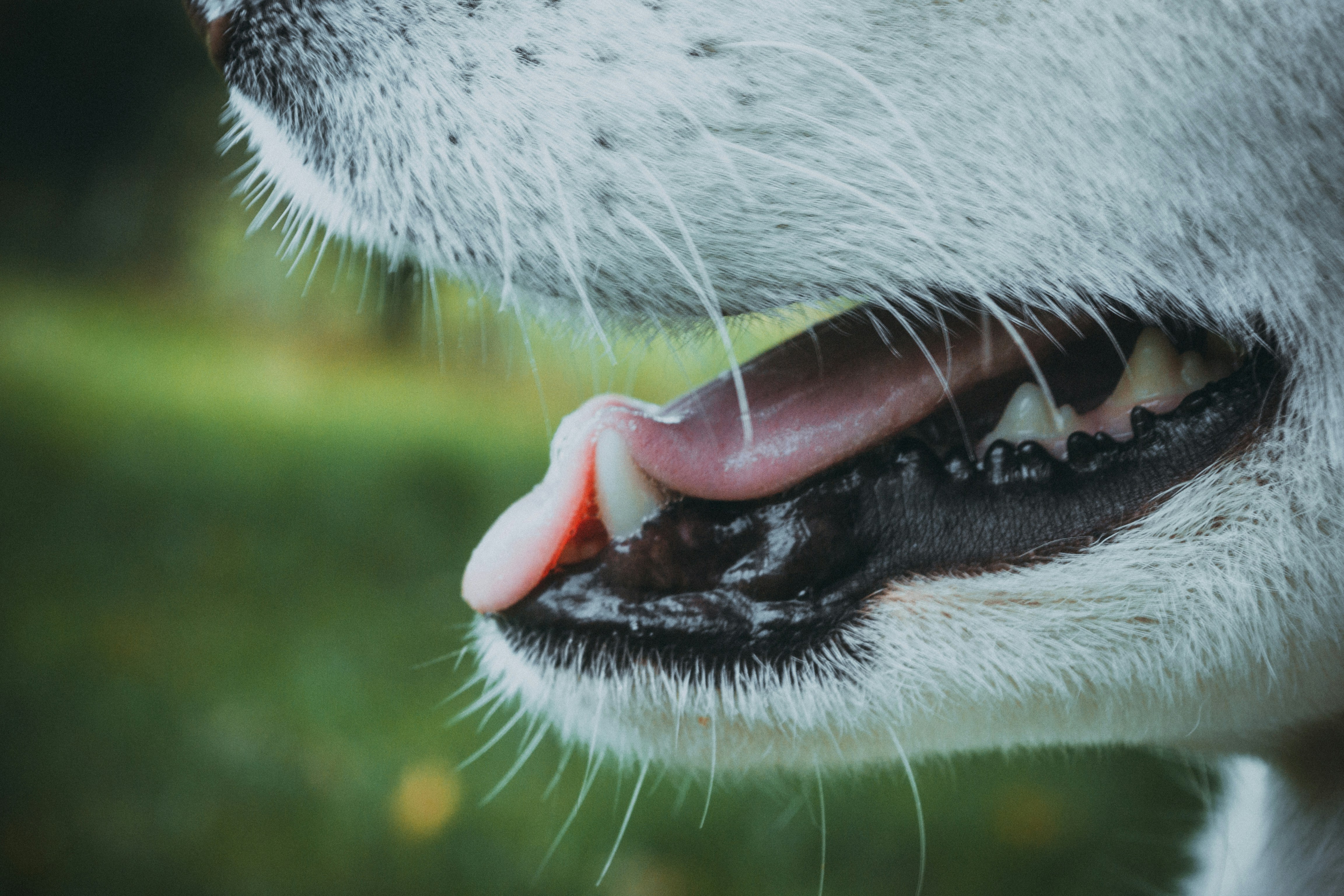 Are There Any Age-related Considerations For Teenagers Or Young Adults Seeking Teeth Whitening Treatments?