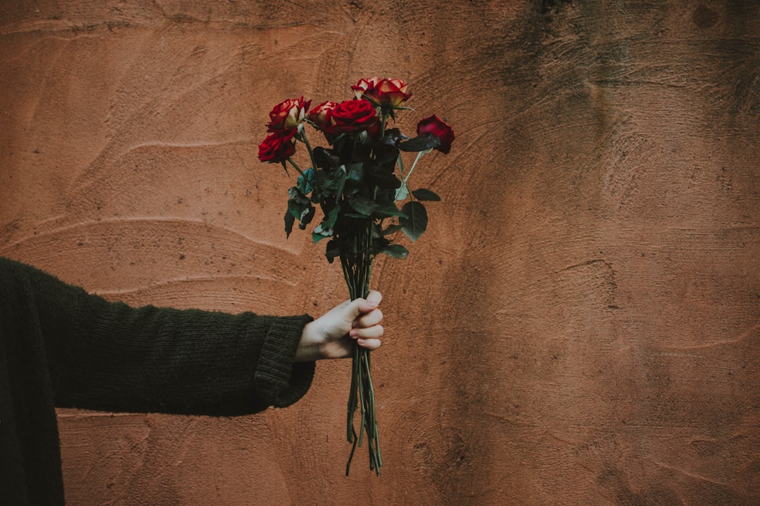 person in sweater holding red roses