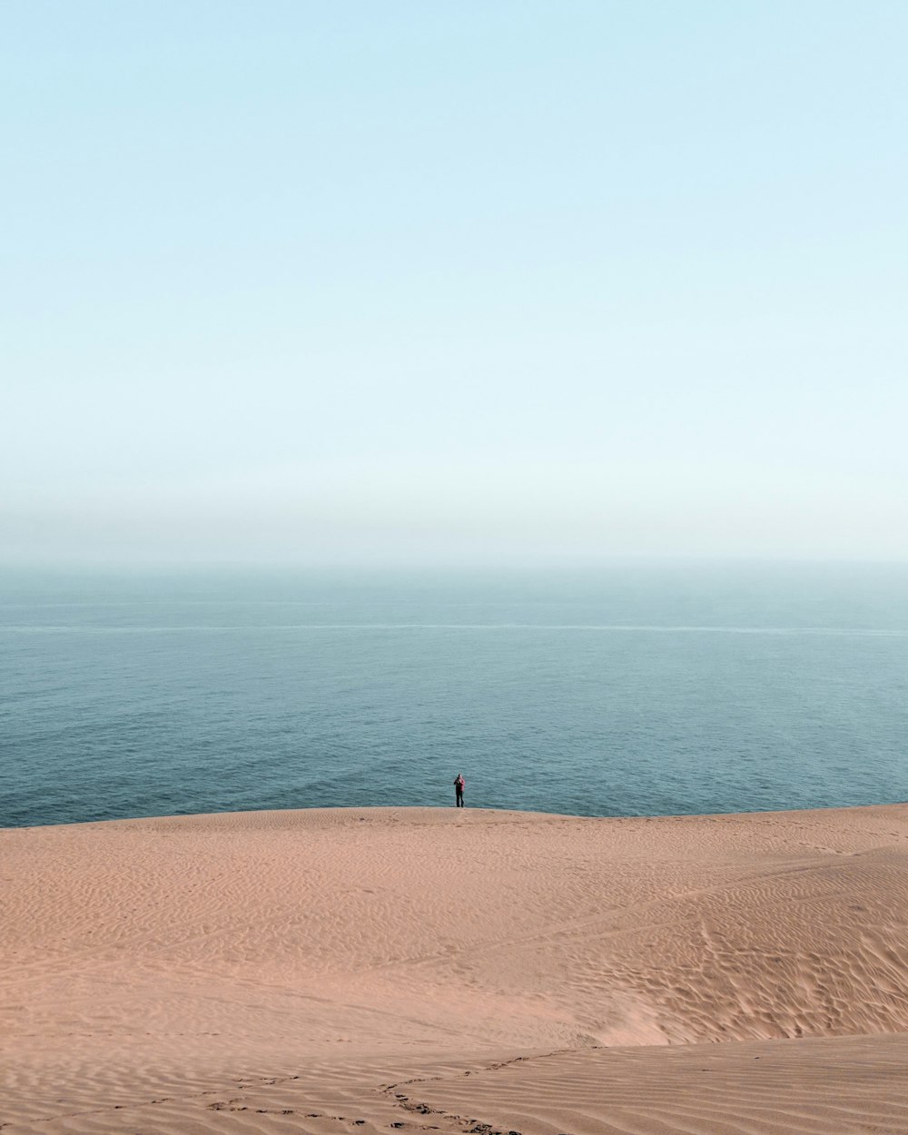 persona in piedi sulla spiaggia sotto il cielo bianco durante il giorno