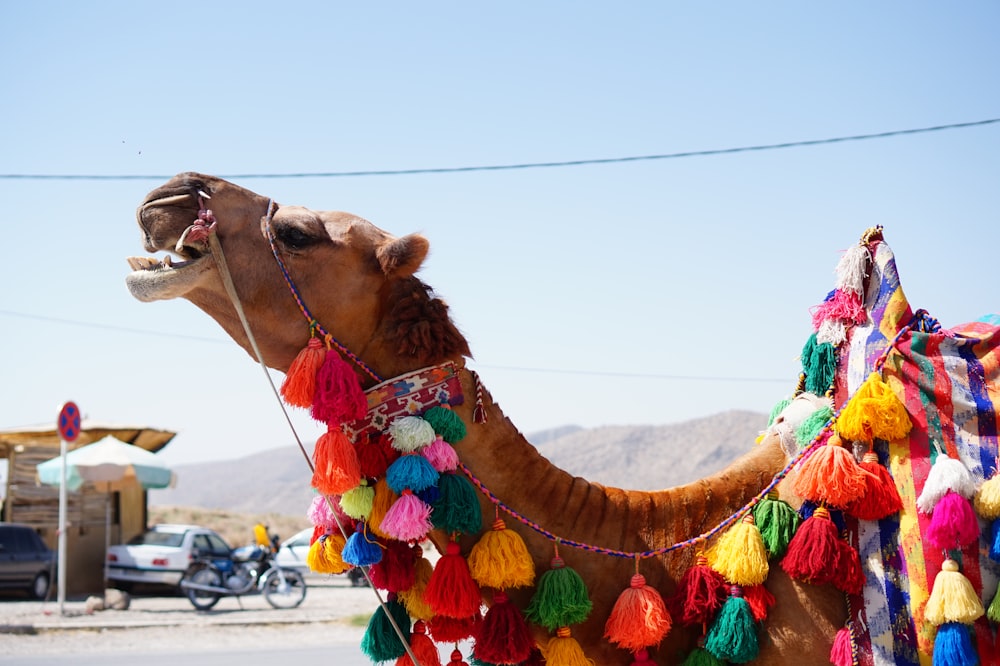 fotografia ravvicinata di cammello vicino alla motocicletta