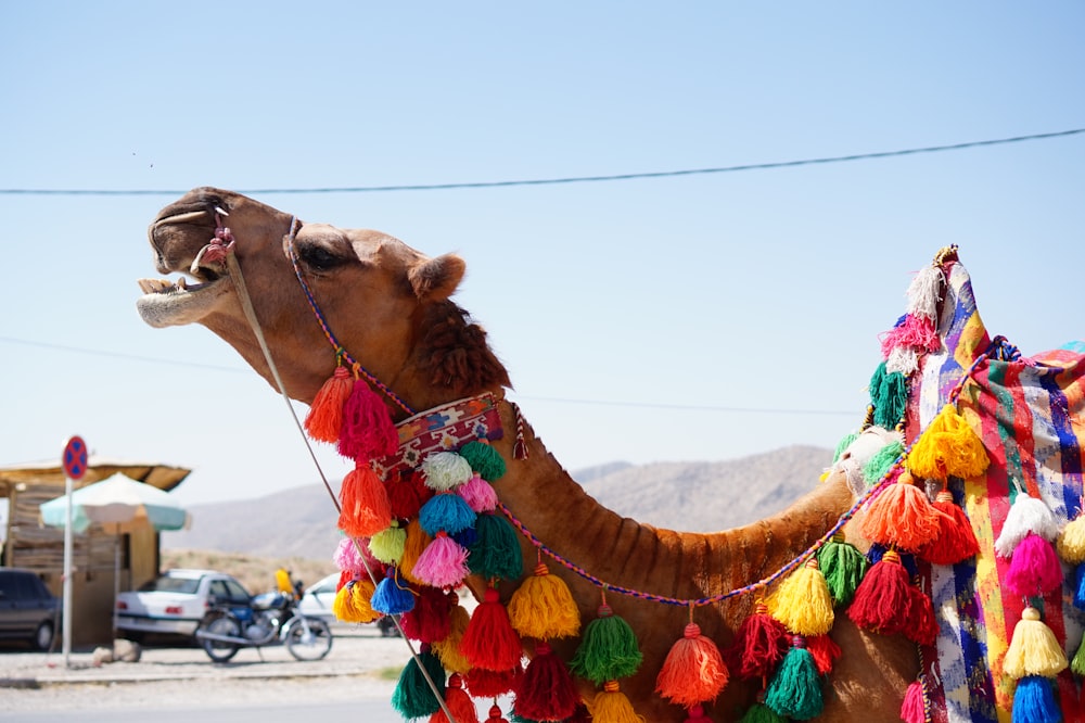 closeup photography of camel near motorcycle