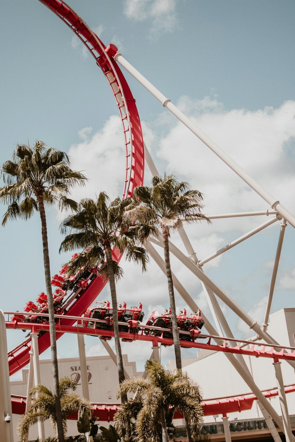 roller coaster near palm trees