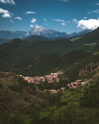 buildings in the middle of mountains and trees