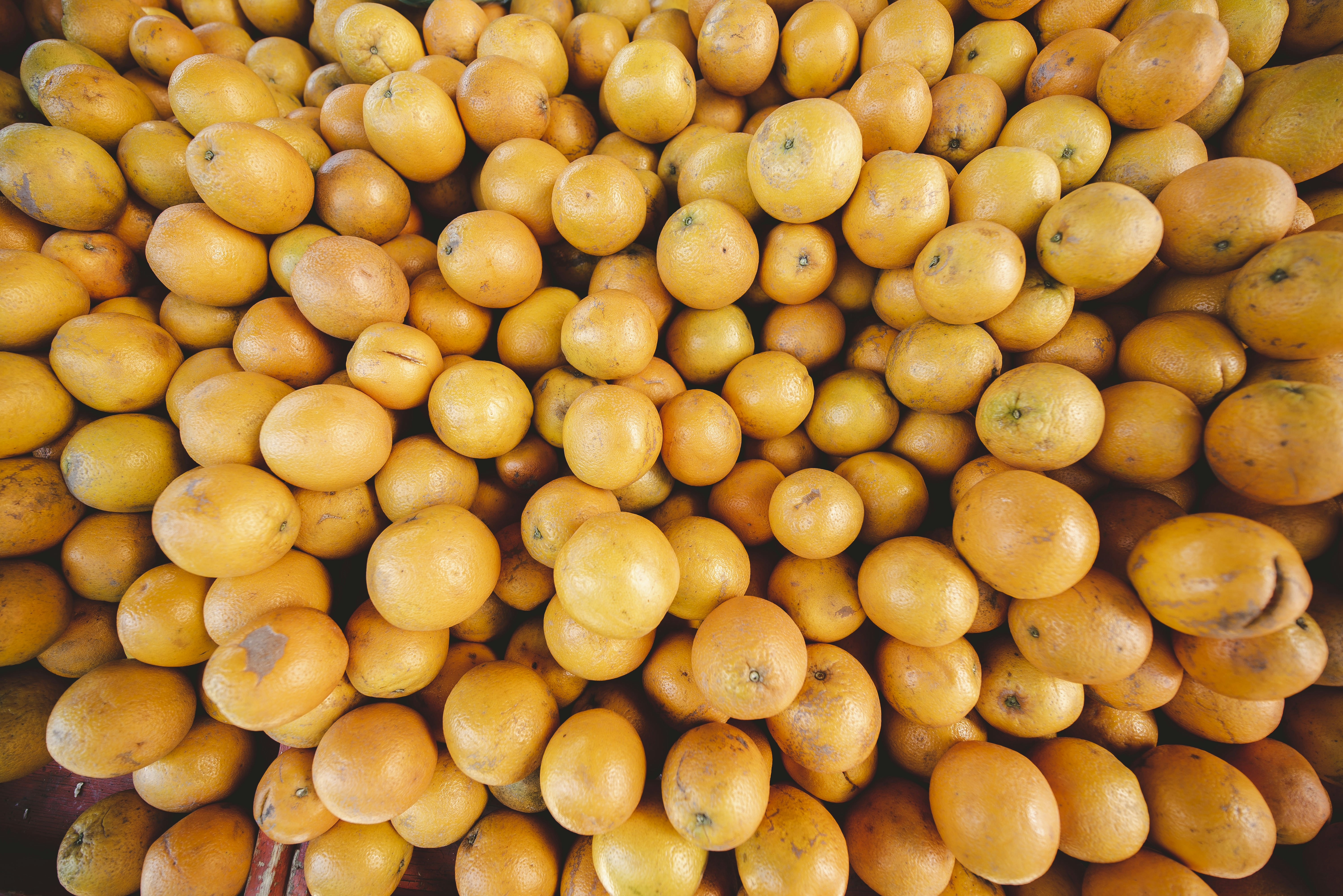 persimmon lot