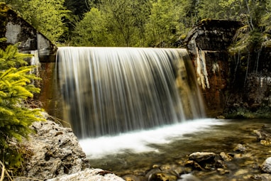 waterfalls near green trees