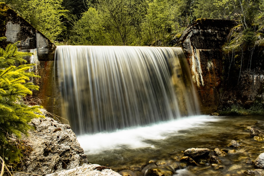 Wasserfälle in der Nähe von grünen Bäumen