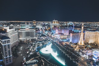 cityscape during nighttime