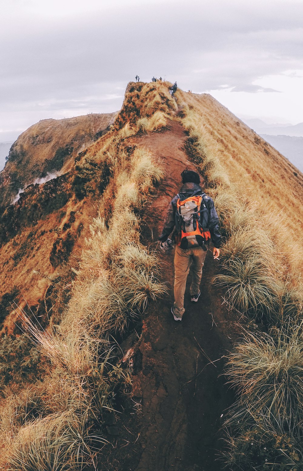 person walking on pathway