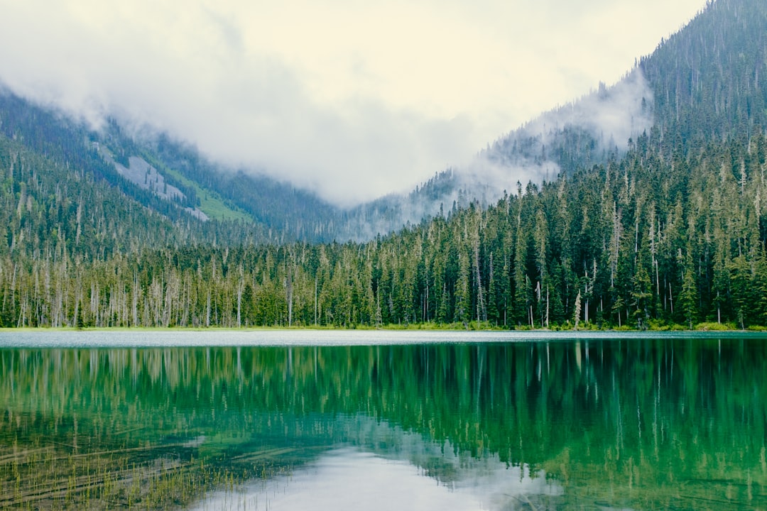 Nature reserve photo spot Vancouver Sasamat Lake