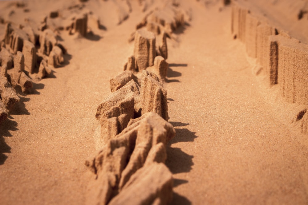 a group of tire tracks in the sand