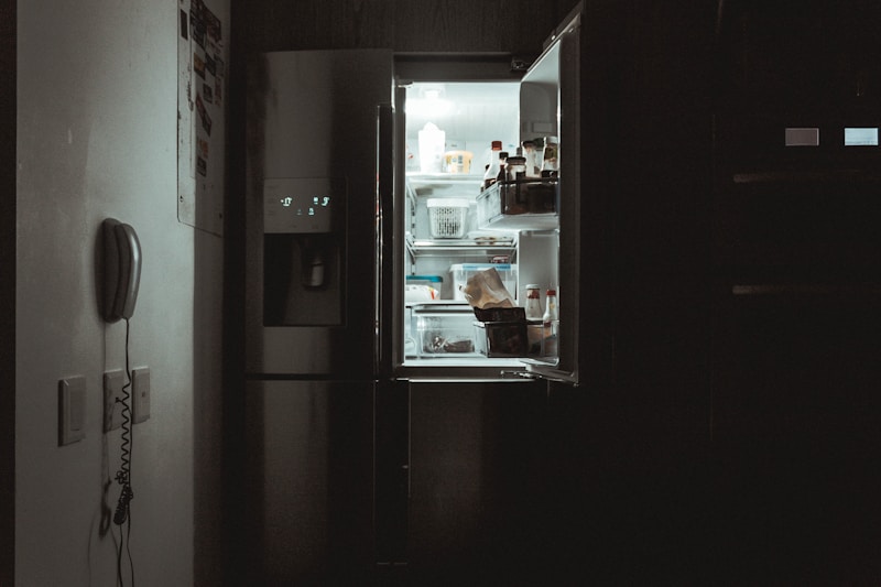 Samsung Double Door Fridge 3