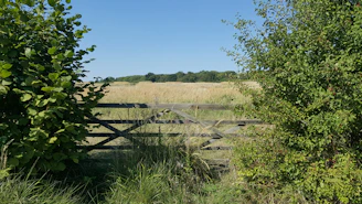 A rustic farm gate opening to a sunlit field with fresh produce baskets.
