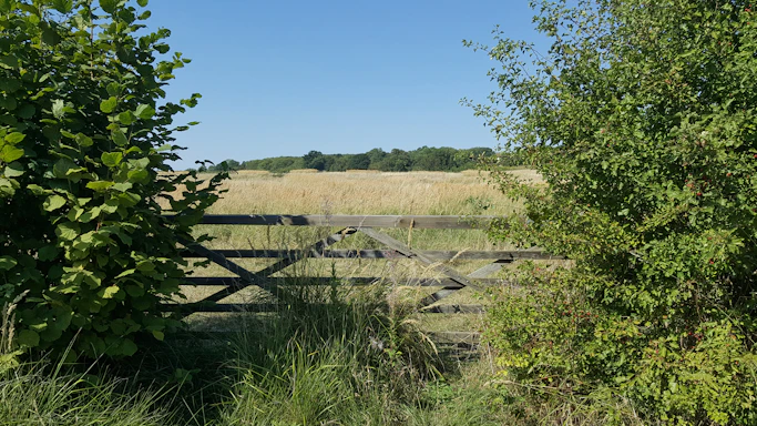 A rustic farm gate opening to a sunlit field with fresh produce baskets.