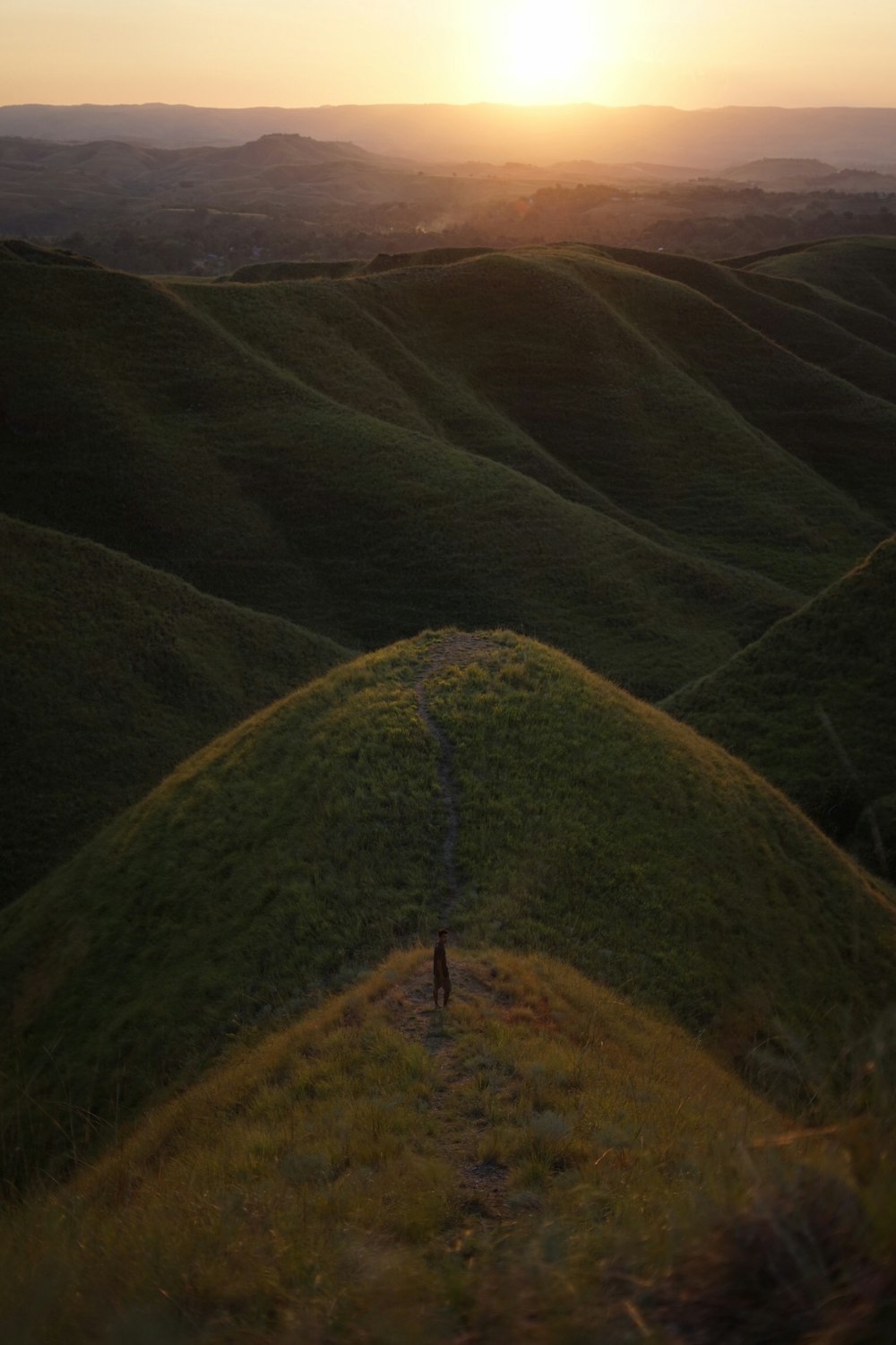 man on top of hill during golden hour