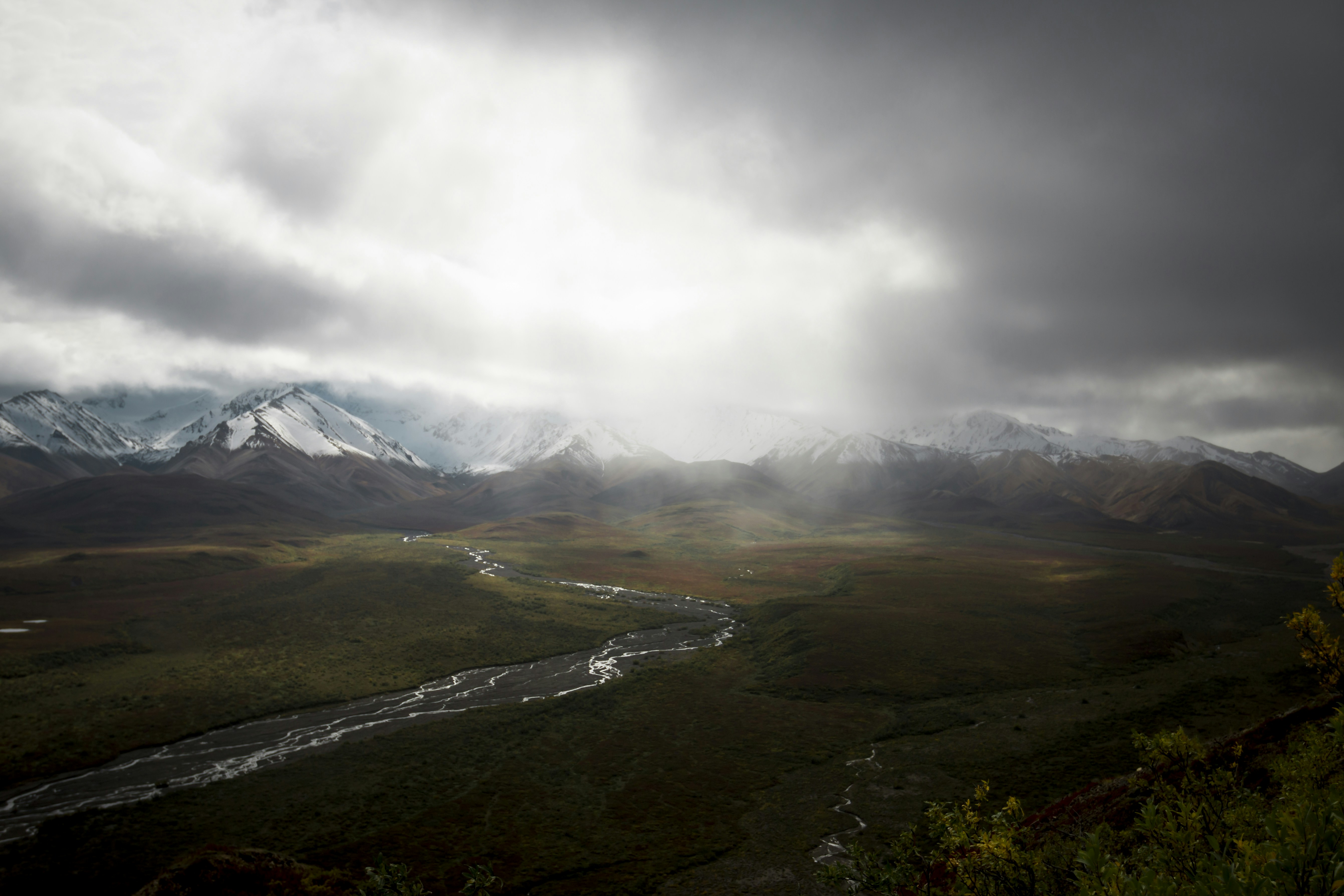 Denali National Park