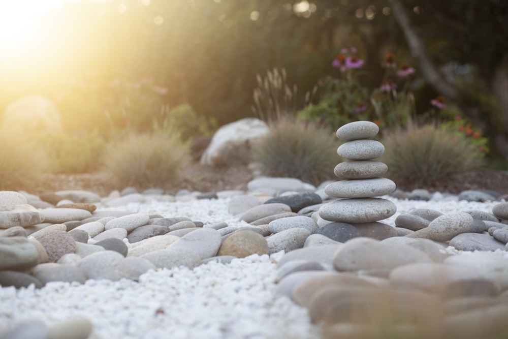 selective focus photo of balance stones