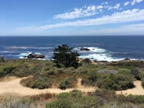 The image features a scenic coastal landscape with a vast blue ocean extending to the horizon. Wispy clouds fill the sky, and waves crash against the rocky shoreline. In the foreground, there is a sandy path winding through lush green shrubs and grasses.