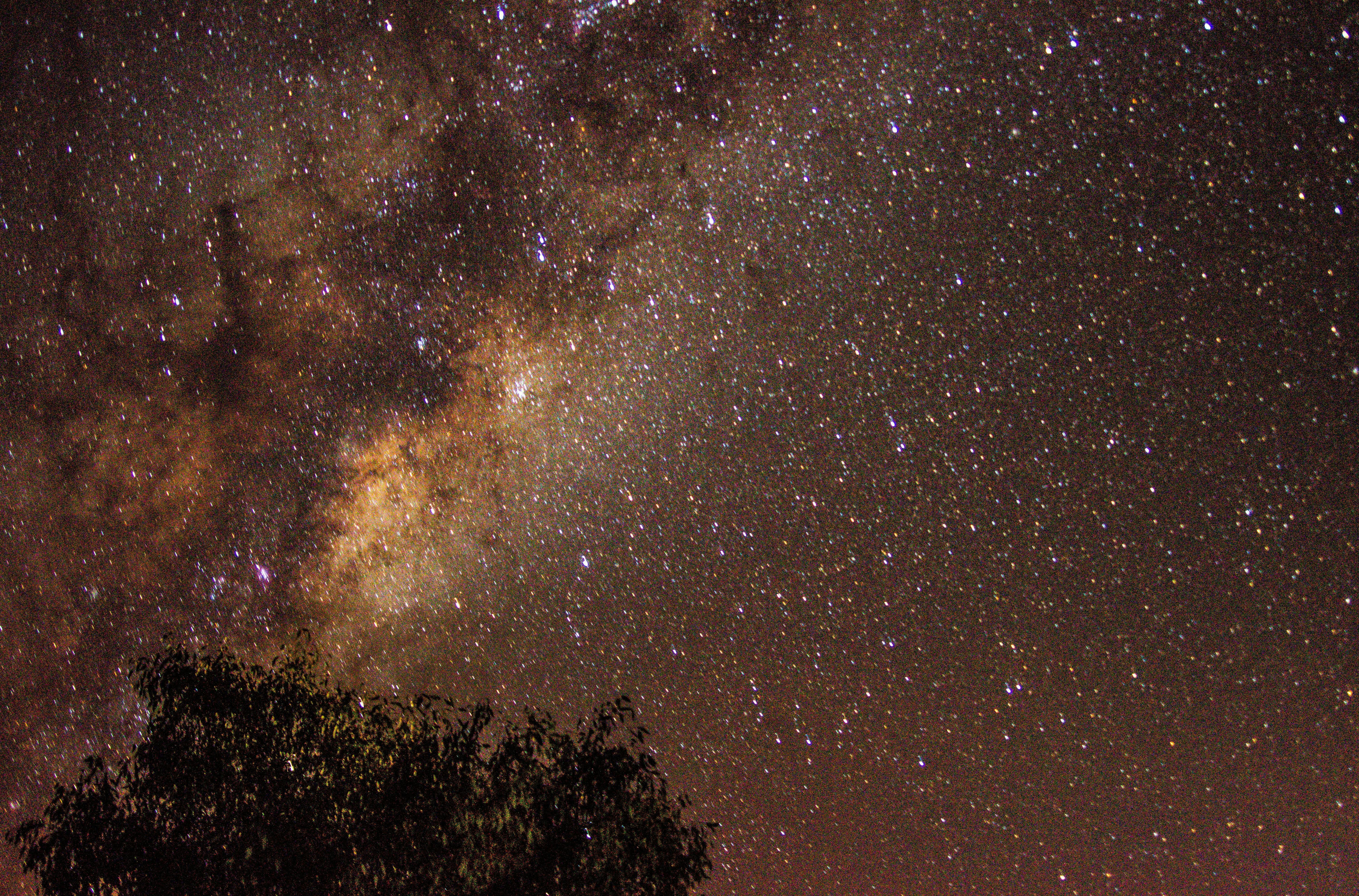 Photo by lachlan_pics