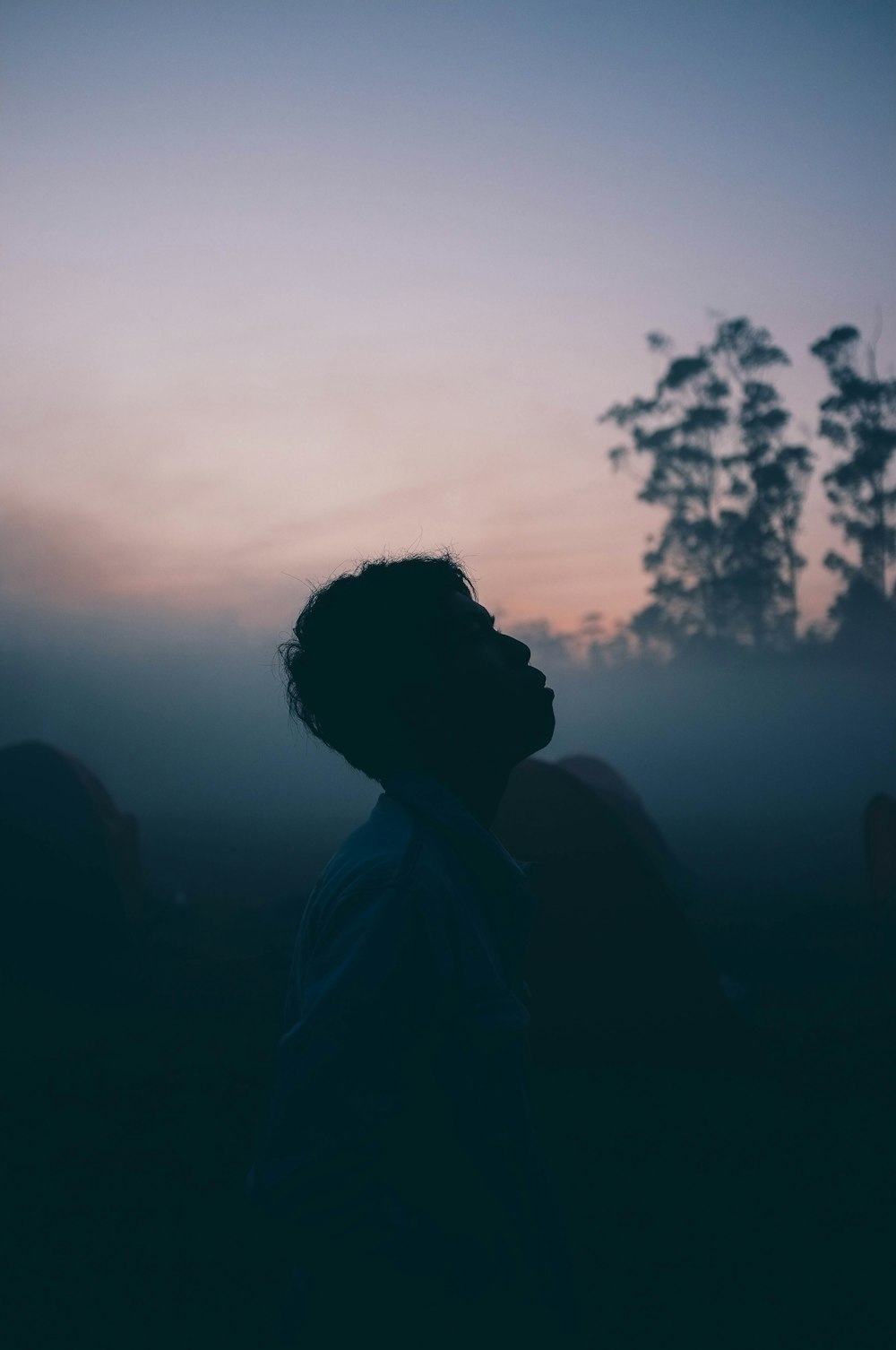 silhouette of man near trees