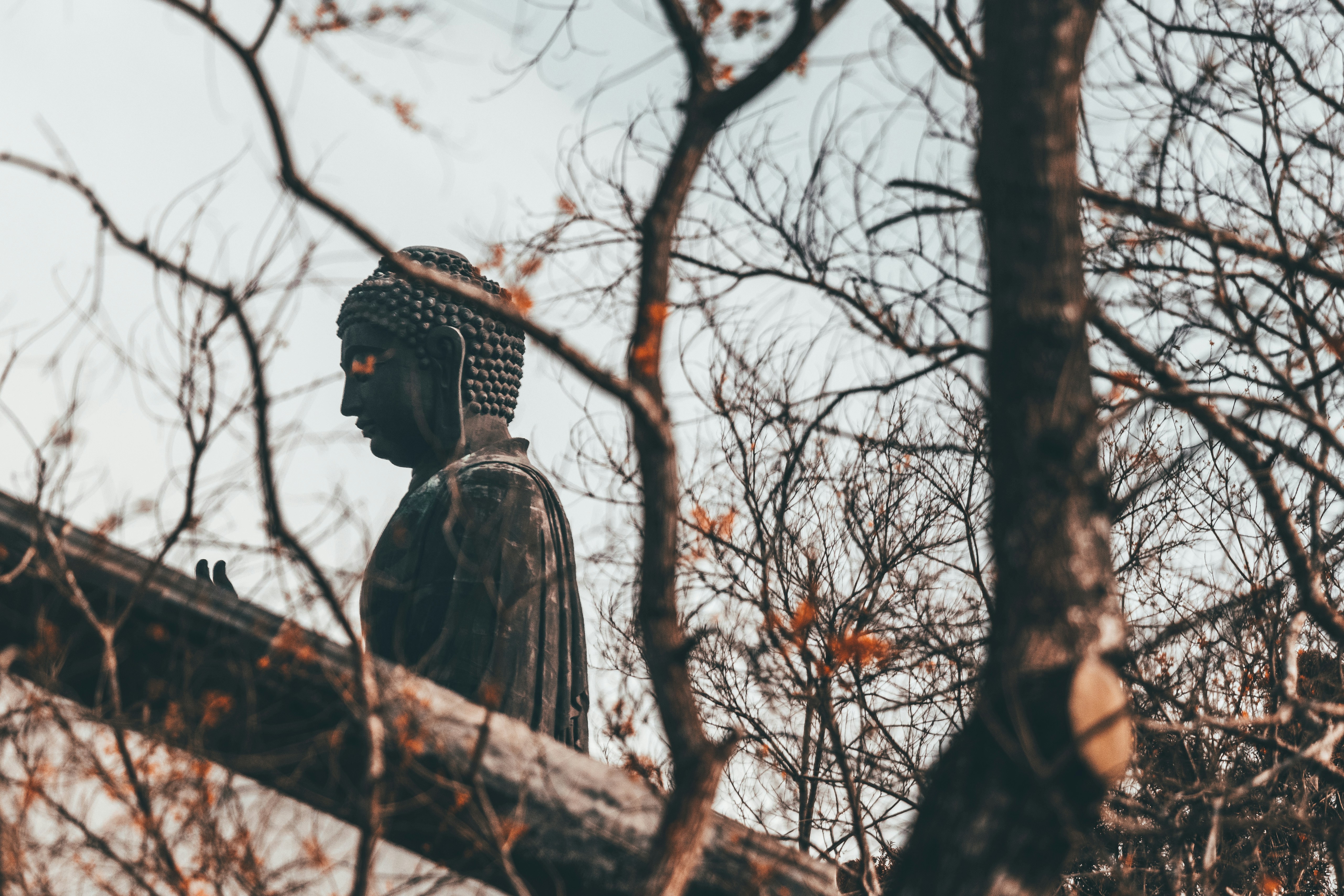 Photo by theisaacmatthew