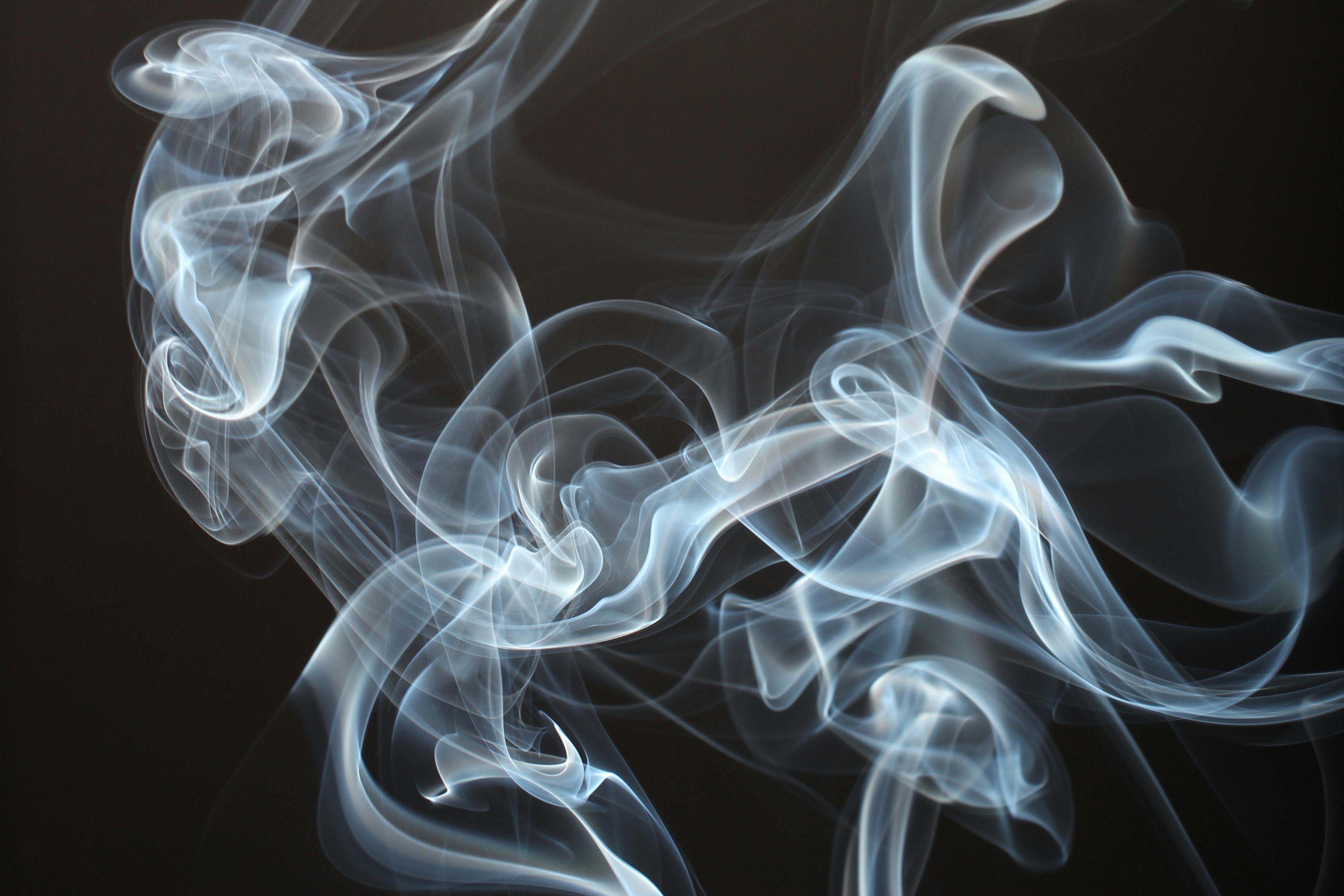 photo-1536405528985-0ab8ba47f25e?ixlib=rb-4.0.3