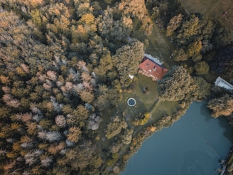 Aerial view of a villa with a red roof and surrounding trees