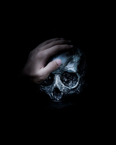 person holding gray skull illustration