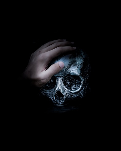 person holding gray skull illustration